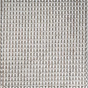 TRELLIS FENDI